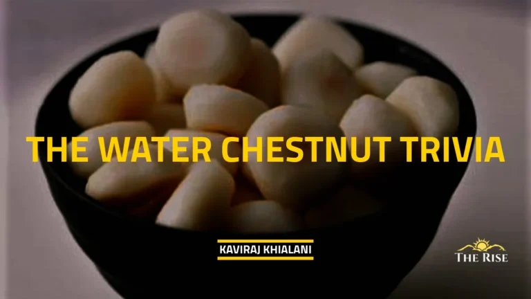 THE WATER CHESTNUT TRIVIA