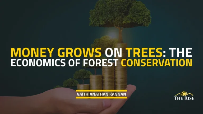 Money Grows on Trees: The Economics of Forest Conservation