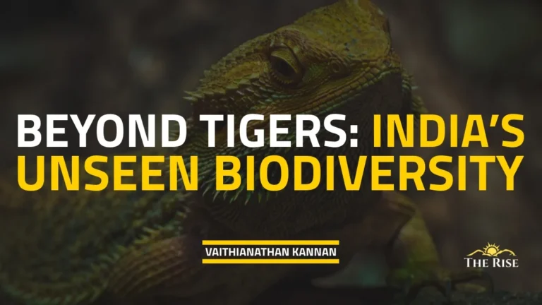Beyond Tigers: India’s Unseen Biodiversity