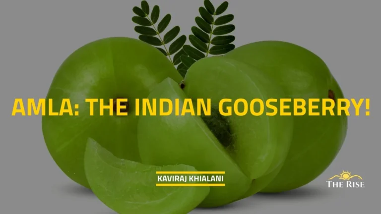 AMLA: THE INDIAN GOOSEBERRY!