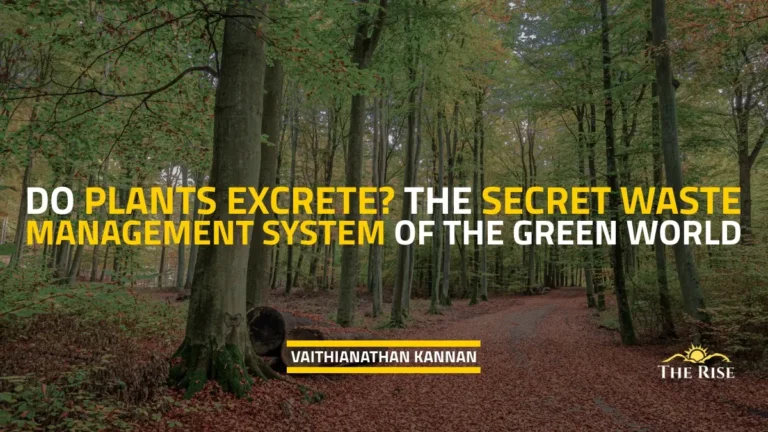 Do Plants Excrete? The Secret Waste Management System of the Green World