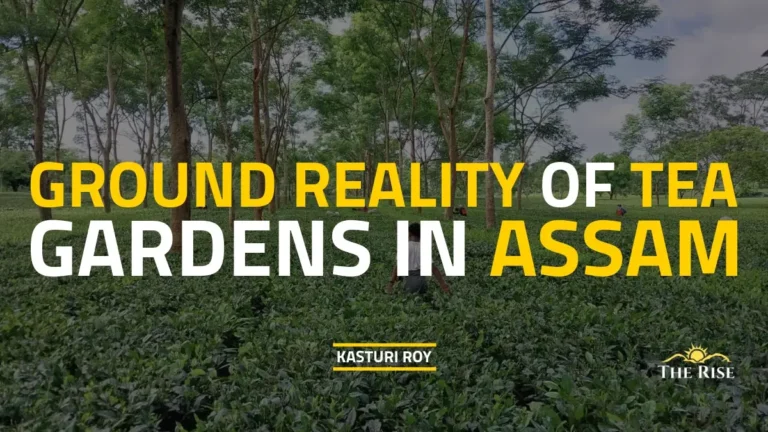 Life Behind the Green Bushes: Ground Reality of Tea Gardens in Assam